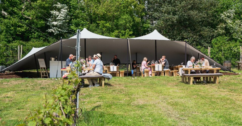 Roebuck Estates summer events at The View