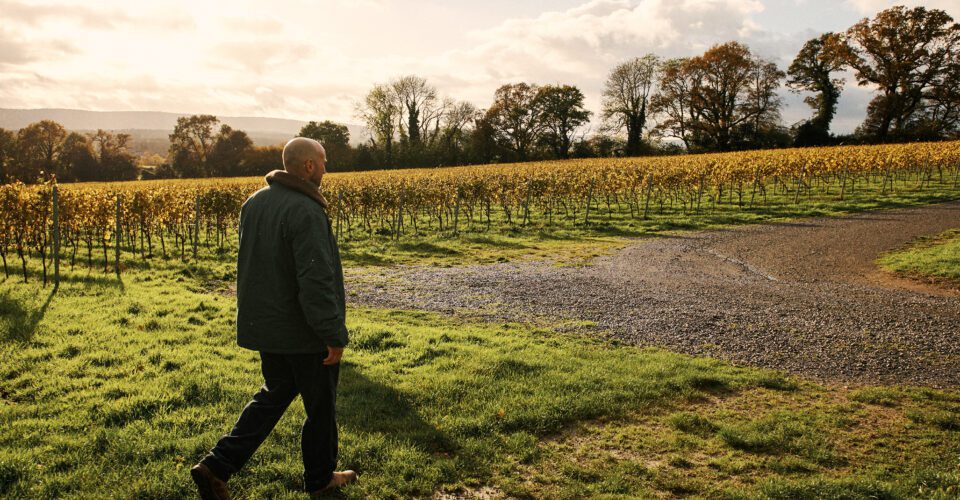 Aubin British clothing brand visit our Sussex vineyard, styling our vineyard team in their beautiful garments.