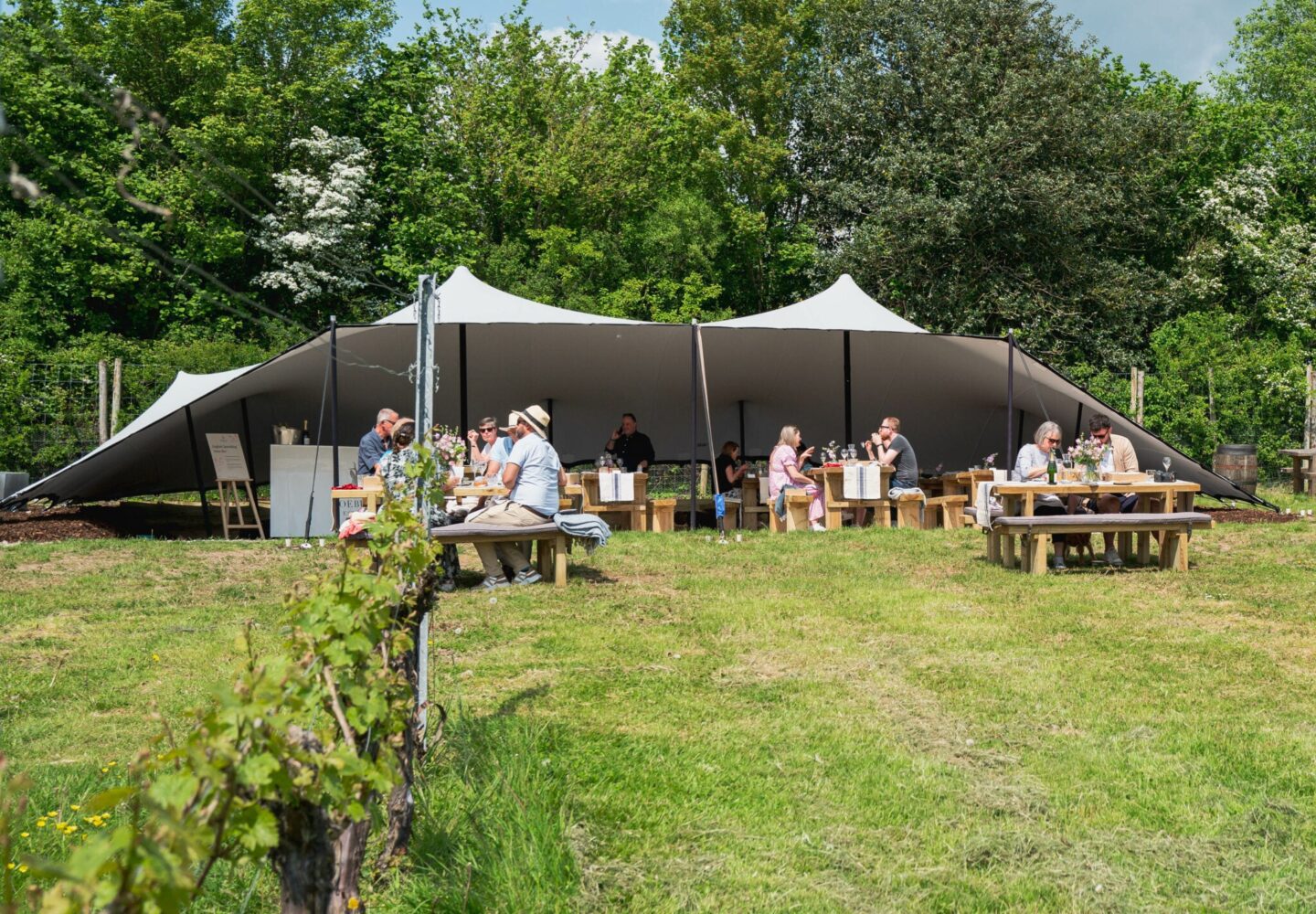 Roebuck Estates summer events at The View